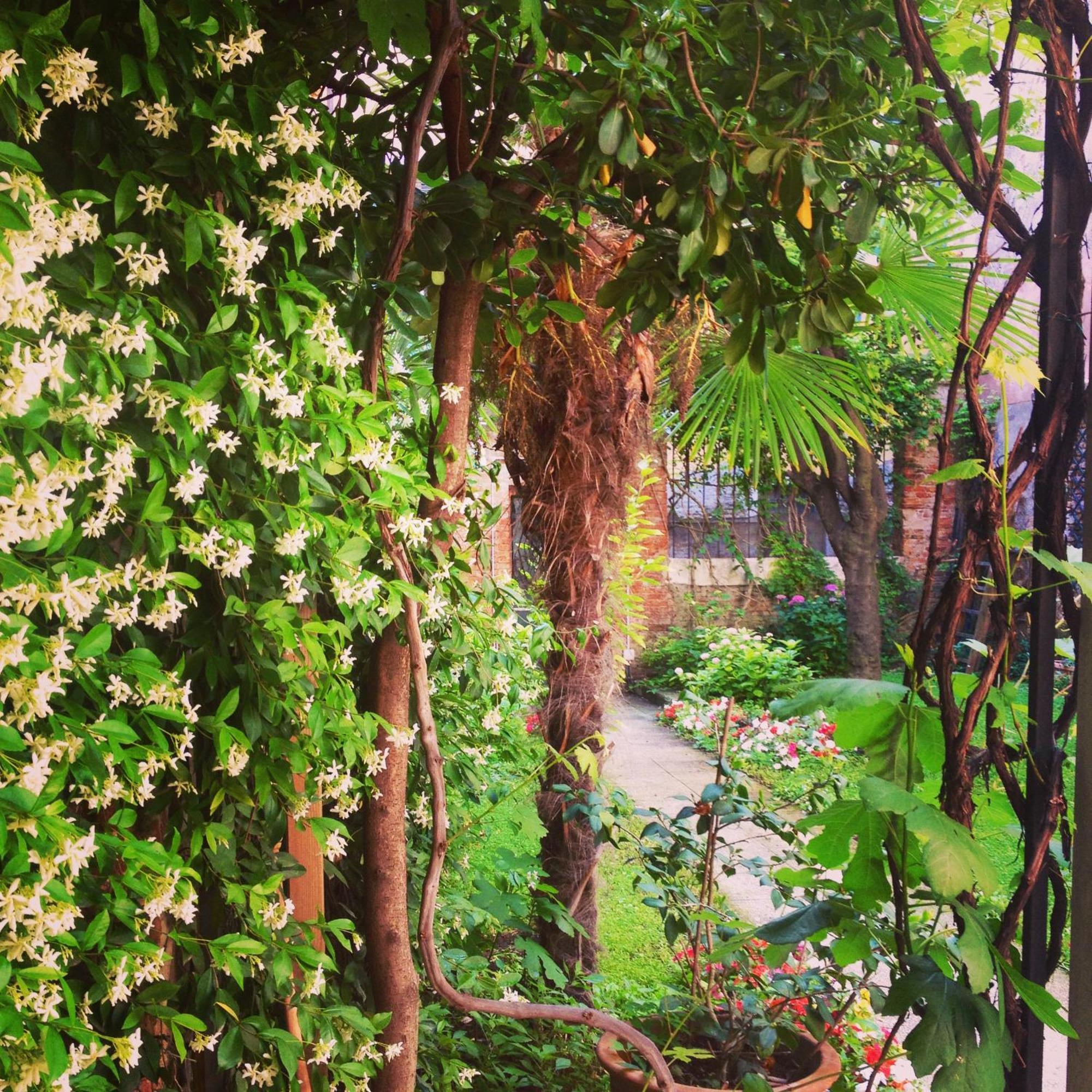 3749 Pontechiodo Bed & Breakfast Venezia Eksteriør bilde