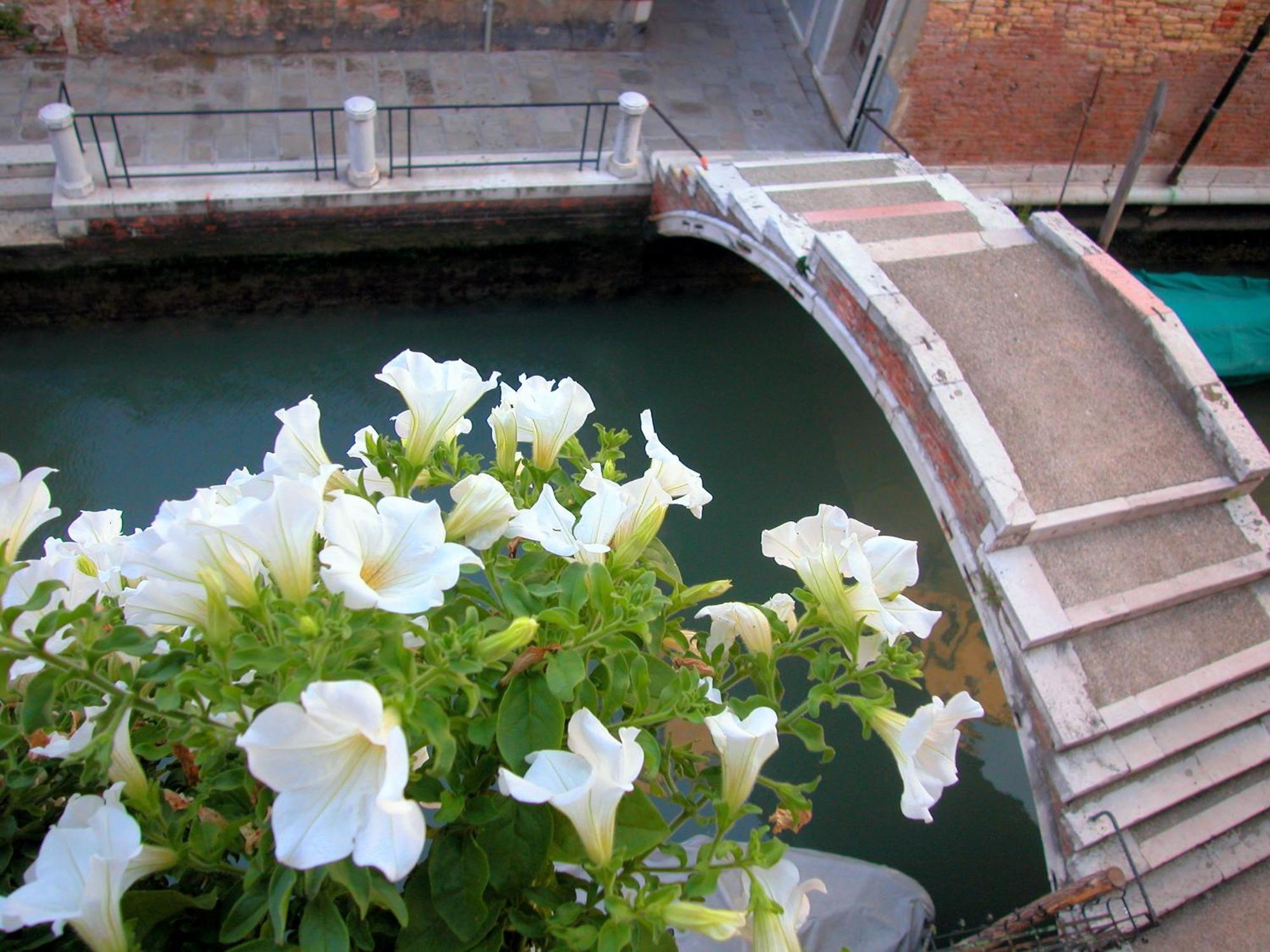 3749 Pontechiodo Bed & Breakfast Venezia Rom bilde