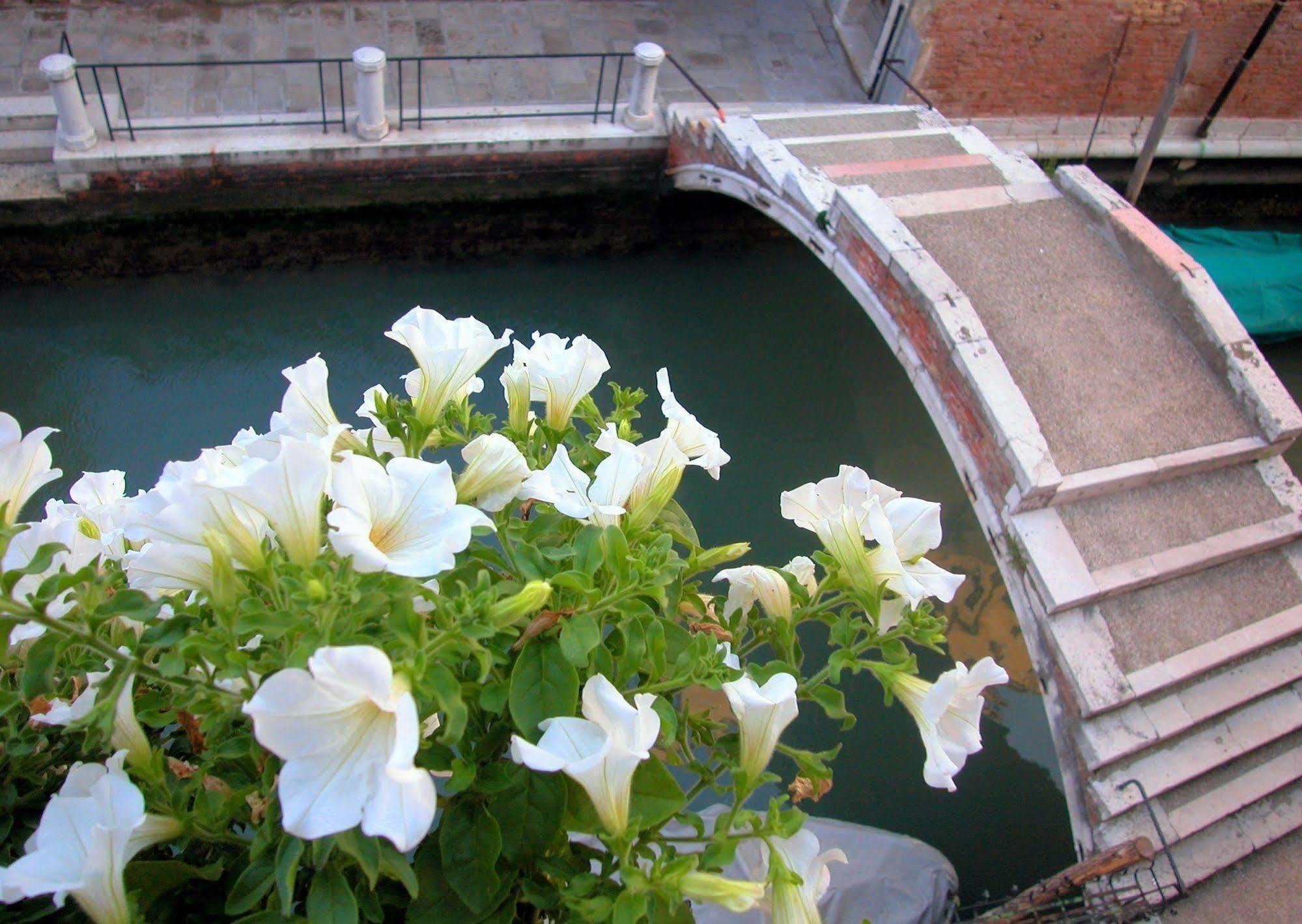 3749 Pontechiodo Bed & Breakfast Venezia Eksteriør bilde